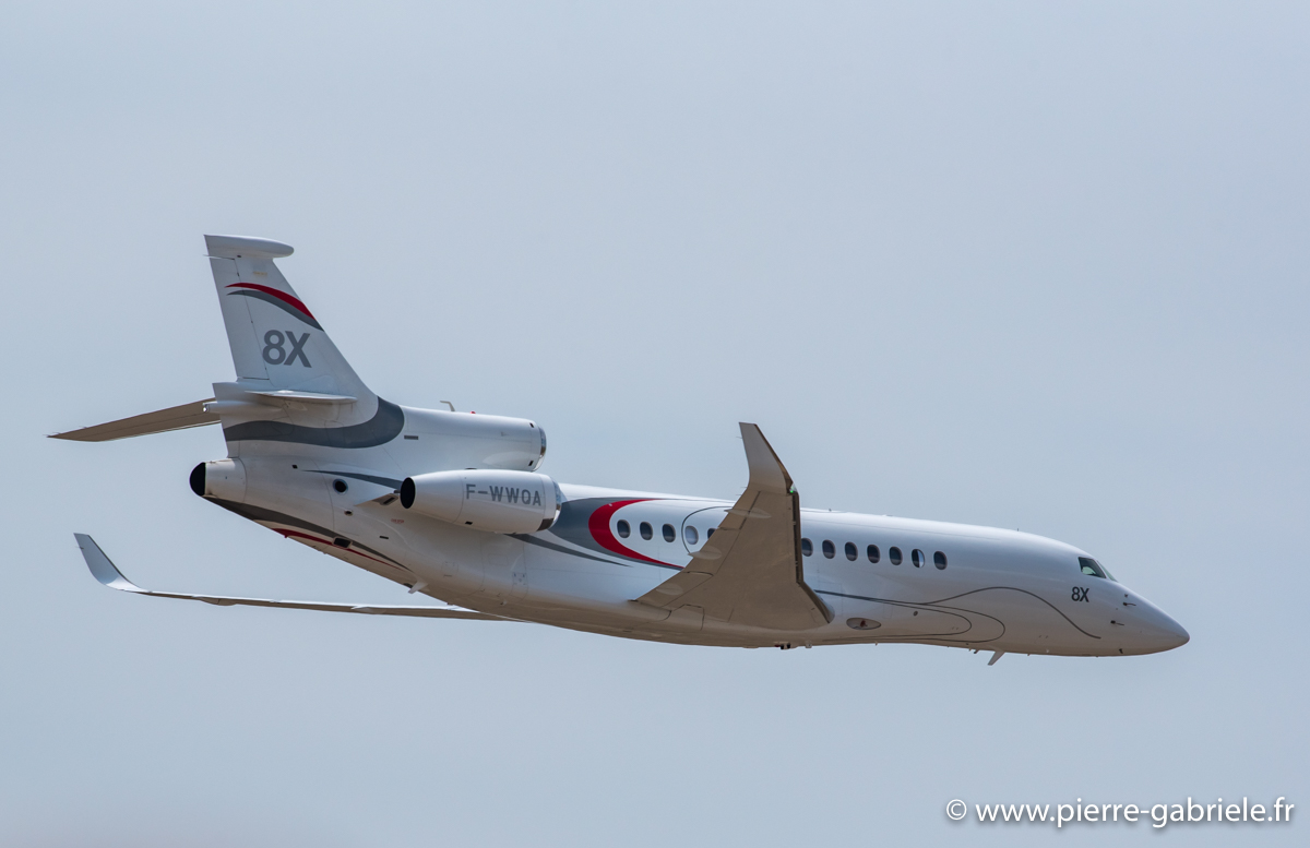 falcon-8x_3637.jpg