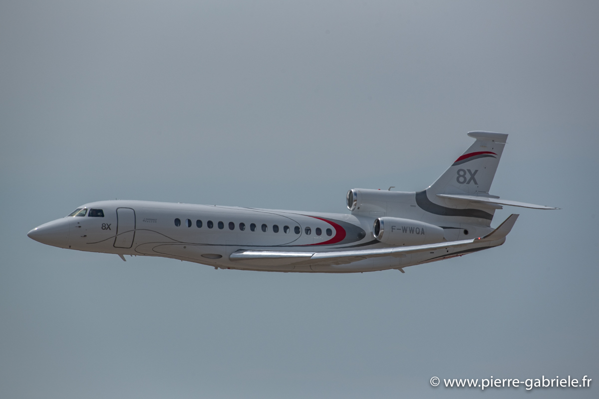 falcon-8x_3668.jpg