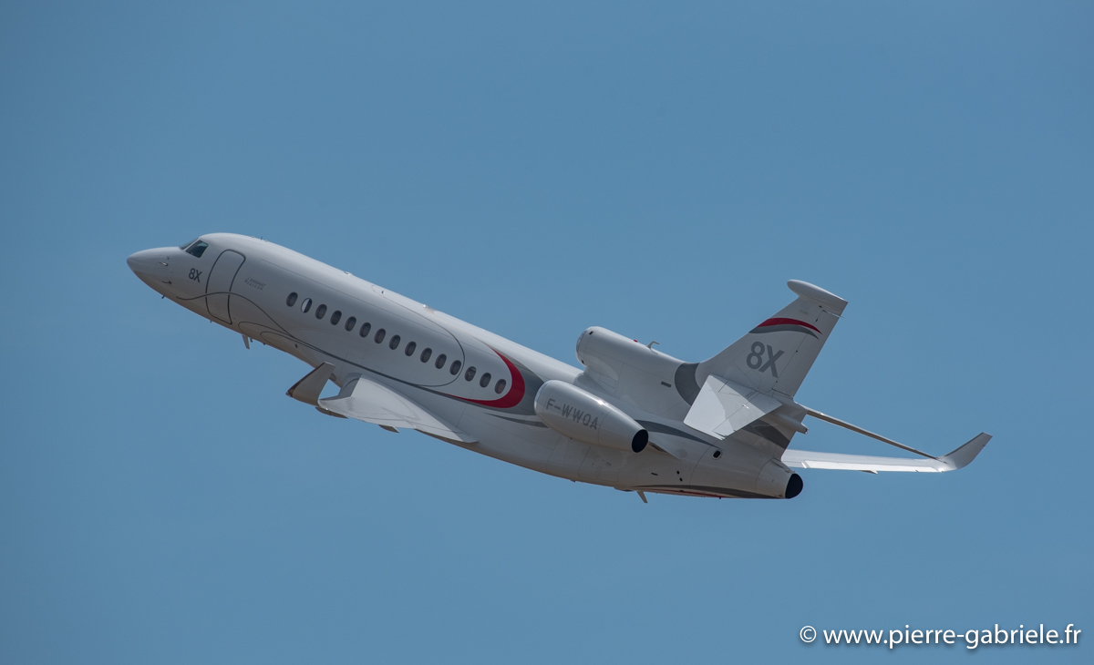 falcon-8x_3670.jpg