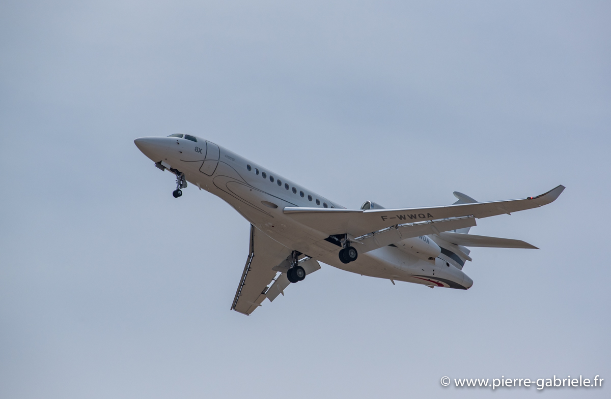 falcon-8x_3682.jpg