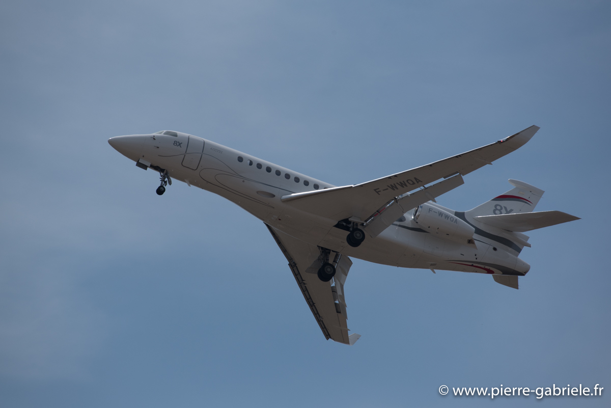 falcon-8x_3683.jpg