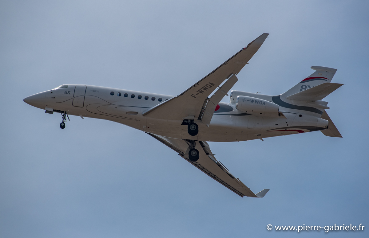 falcon-8x_3684.jpg