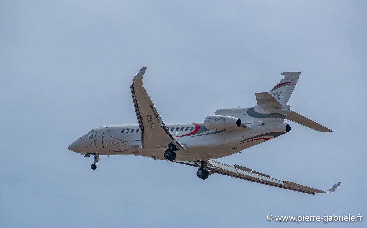 falcon-8x_3686.jpg