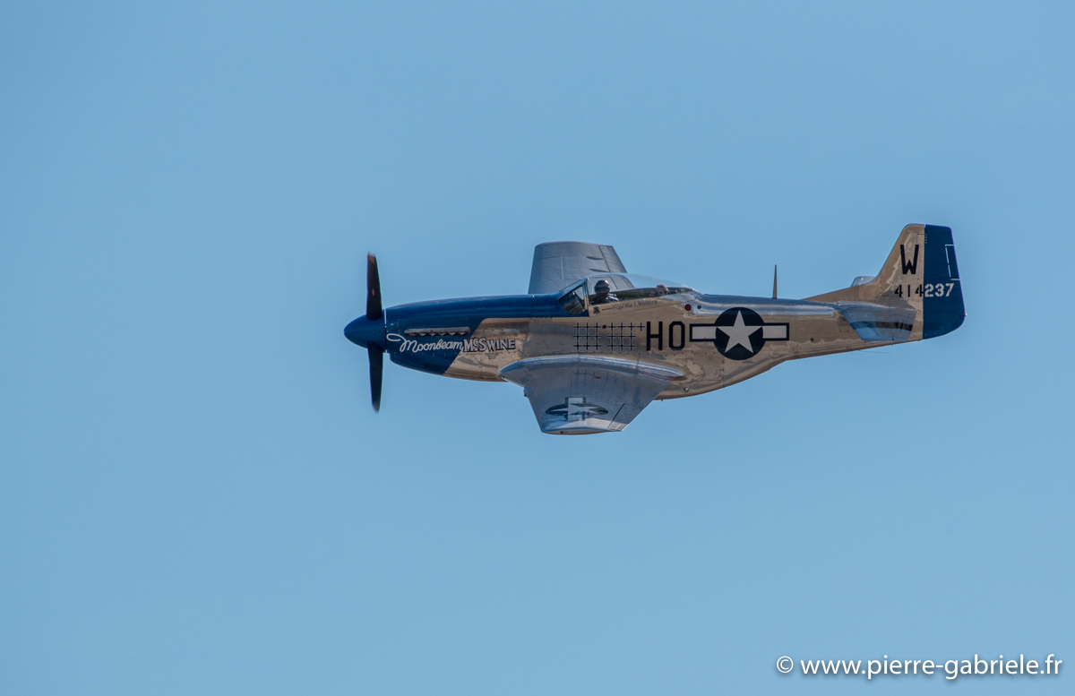 mustang_3209.jpg