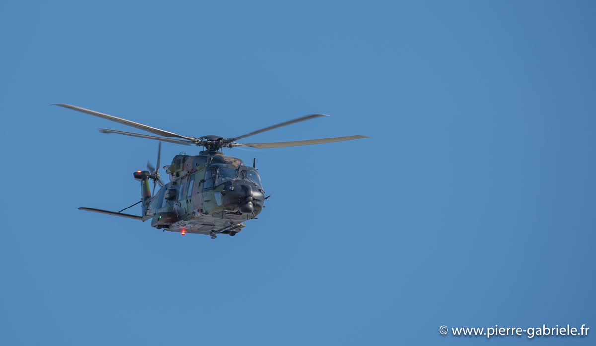 nh90_3229.jpg