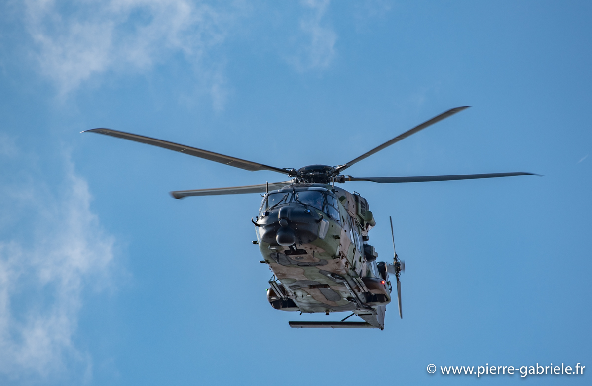 nh90_3231.jpg