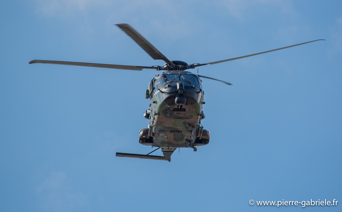 nh90_3264.jpg
