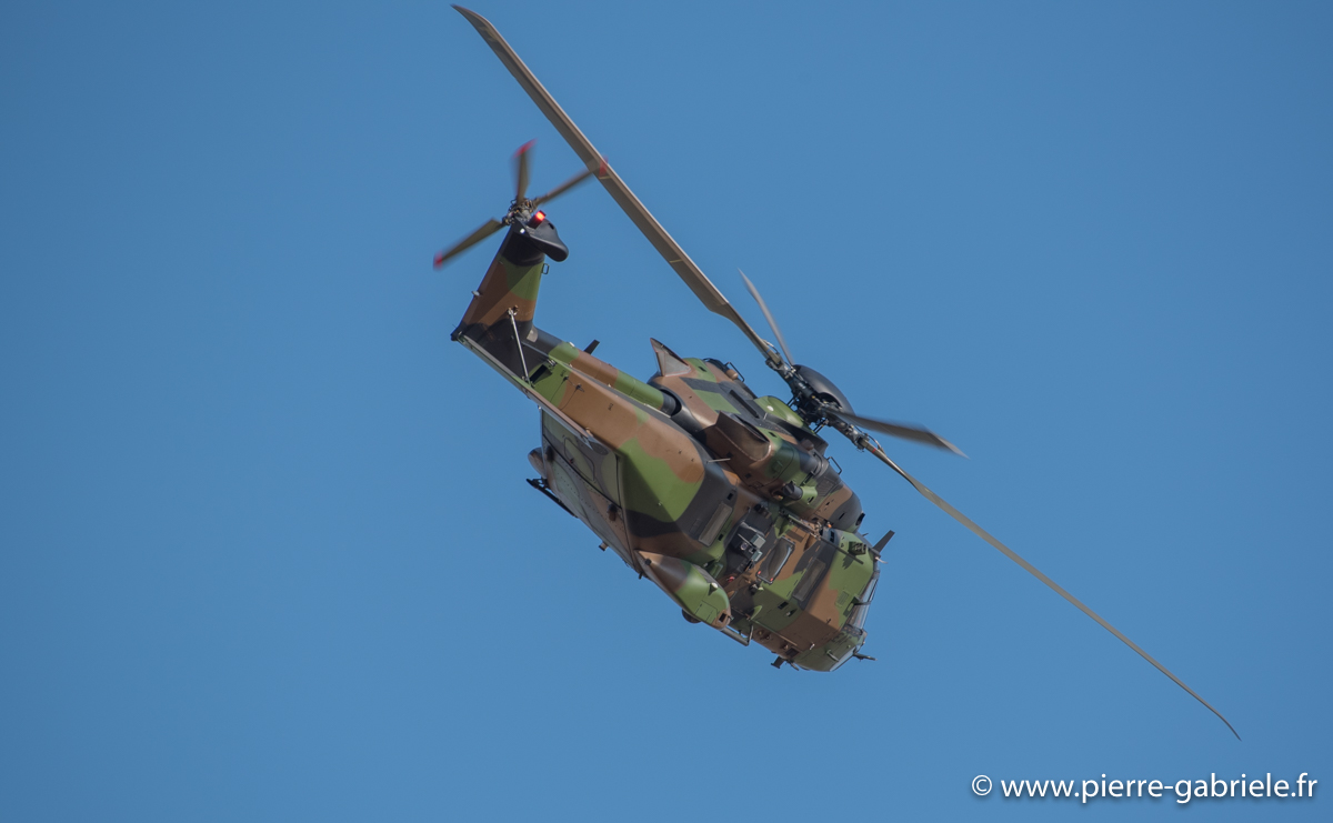 nh90_3265.jpg