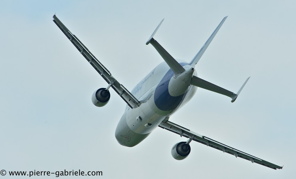 beluga_3155.jpg