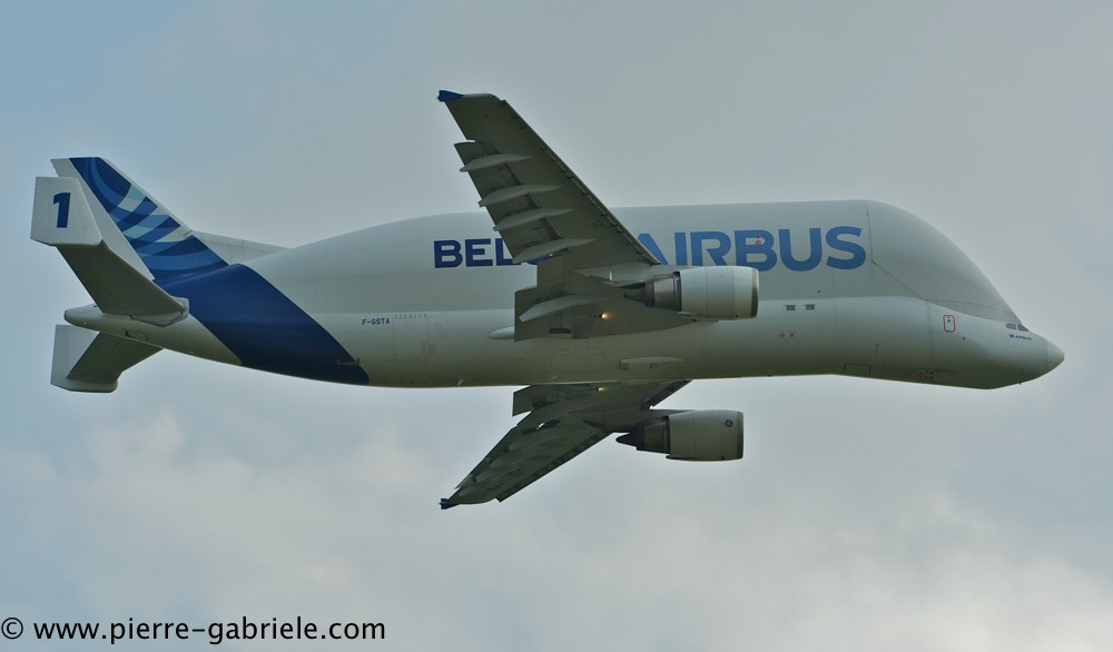 beluga_3168.jpg