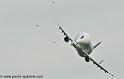 beluga_3175