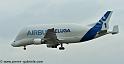 beluga_3191