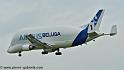 beluga_3192