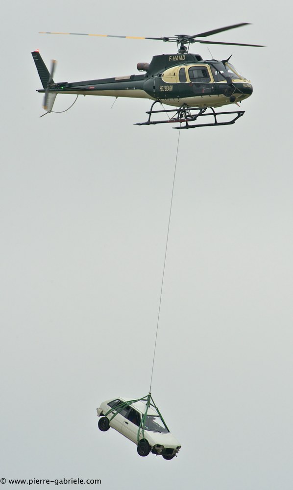 ecureuil-ax_2420.jpg
