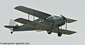 hornet-moth_2859