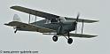 hornet-moth_2868