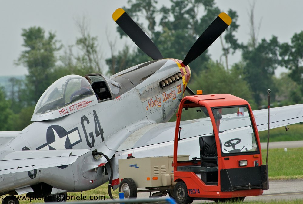 mustang_2941.jpg