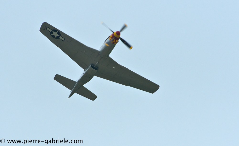 mustang_3066.jpg