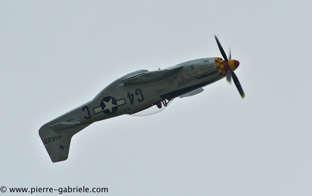 mustang_3068.jpg