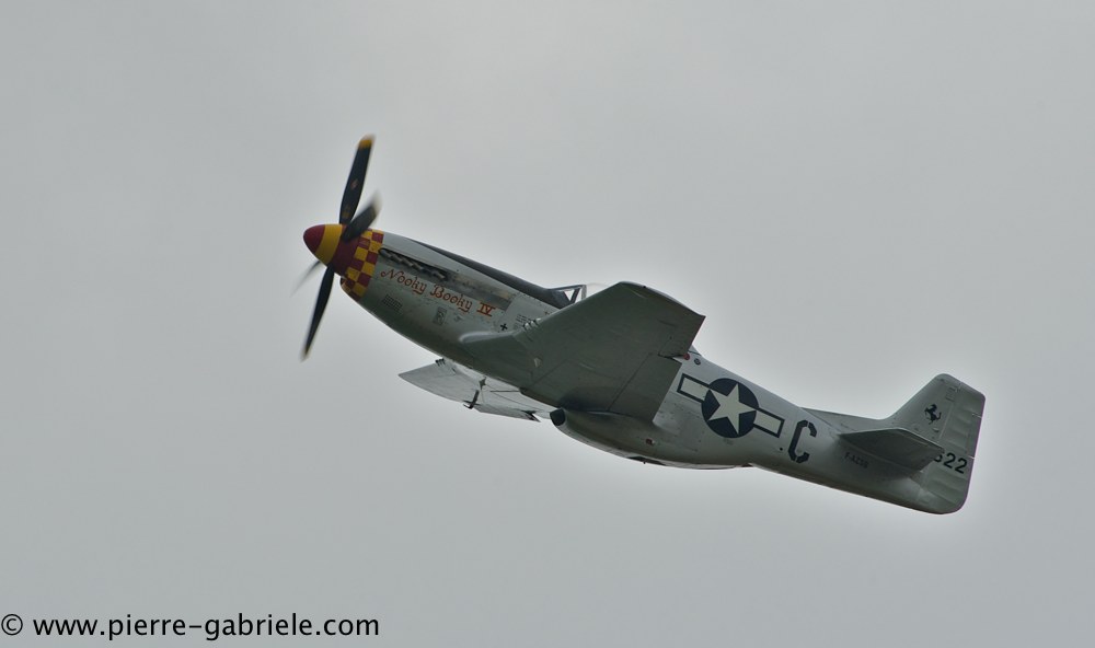 mustang_3073.jpg