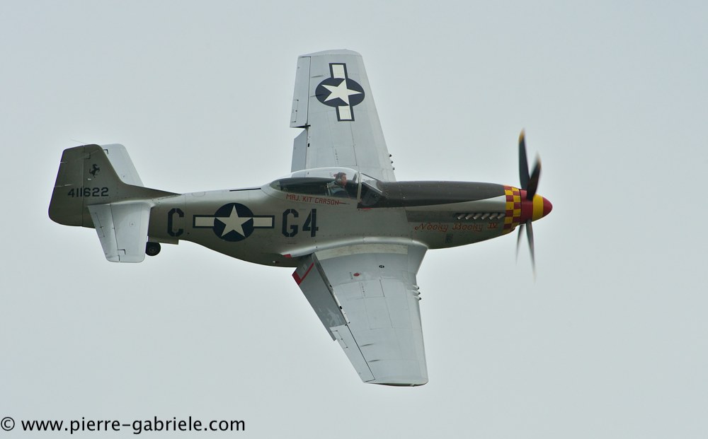 mustang_3096.jpg
