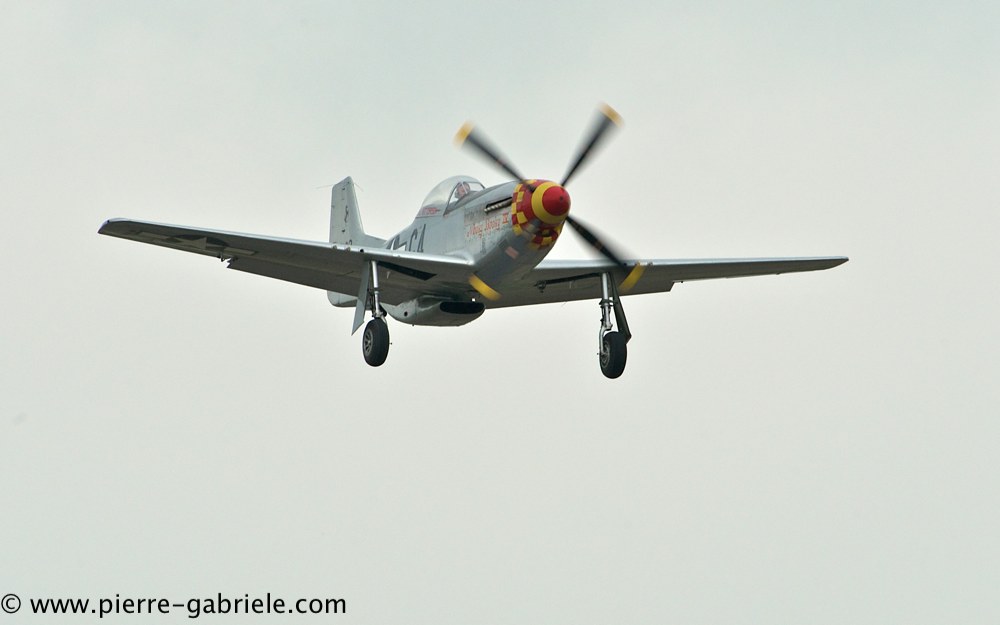 mustang_3098.jpg