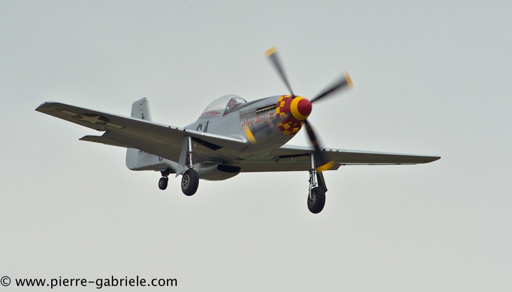 mustang_3099.jpg