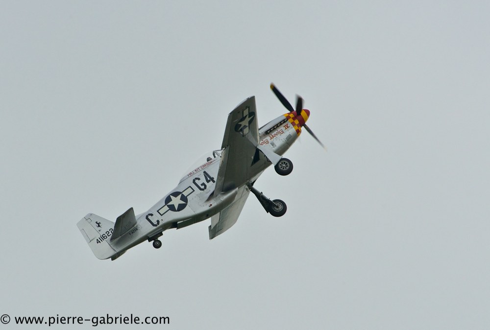 mustang_3108.jpg