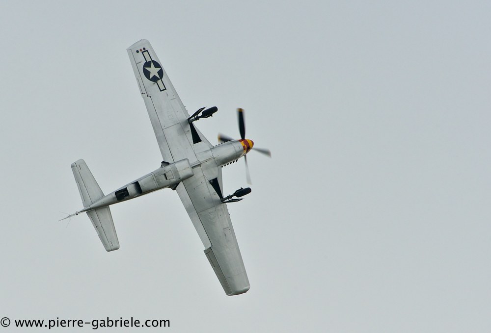 mustang_3109.jpg