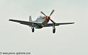 mustang_3098