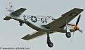 mustang_3102