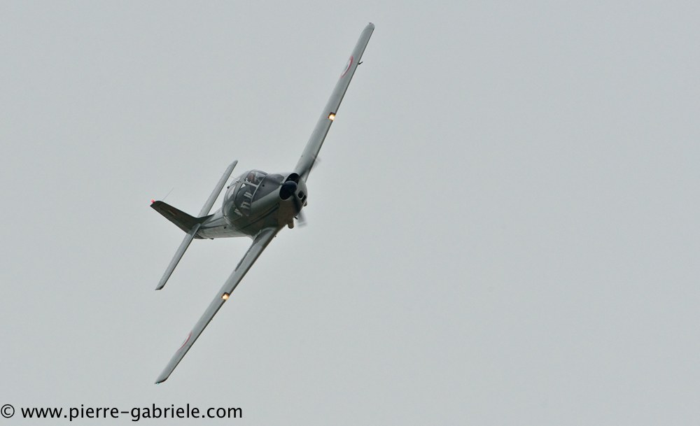 piaggio-p149_2230.jpg