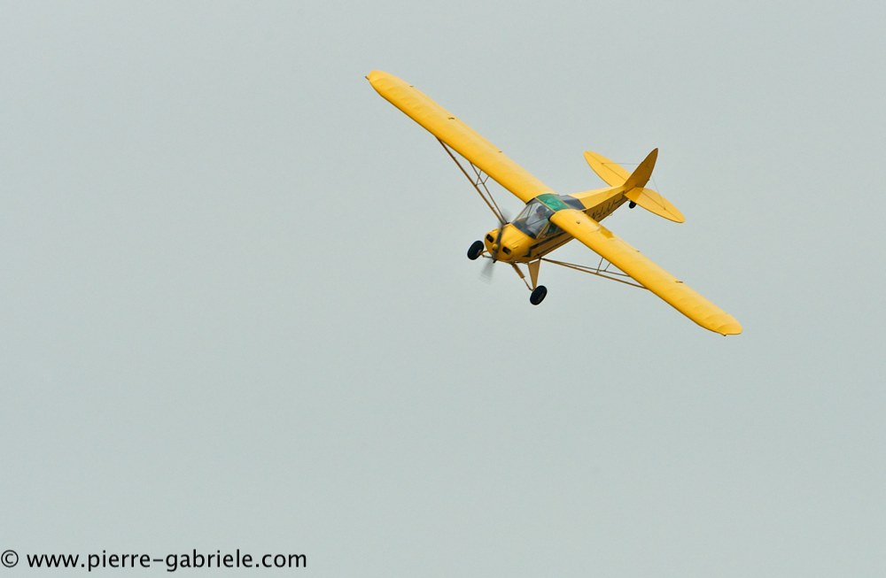 piper_2354.jpg