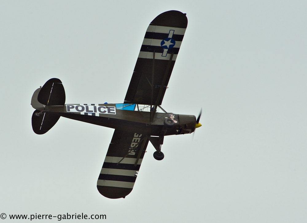 piper_2373.jpg