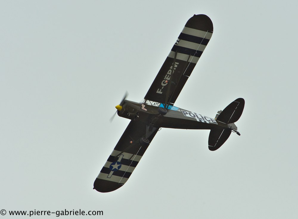 piper_2374.jpg