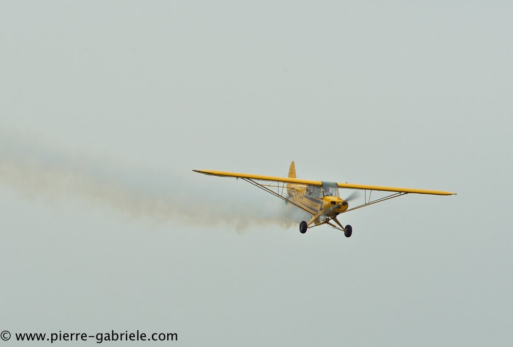 piper_2376.jpg