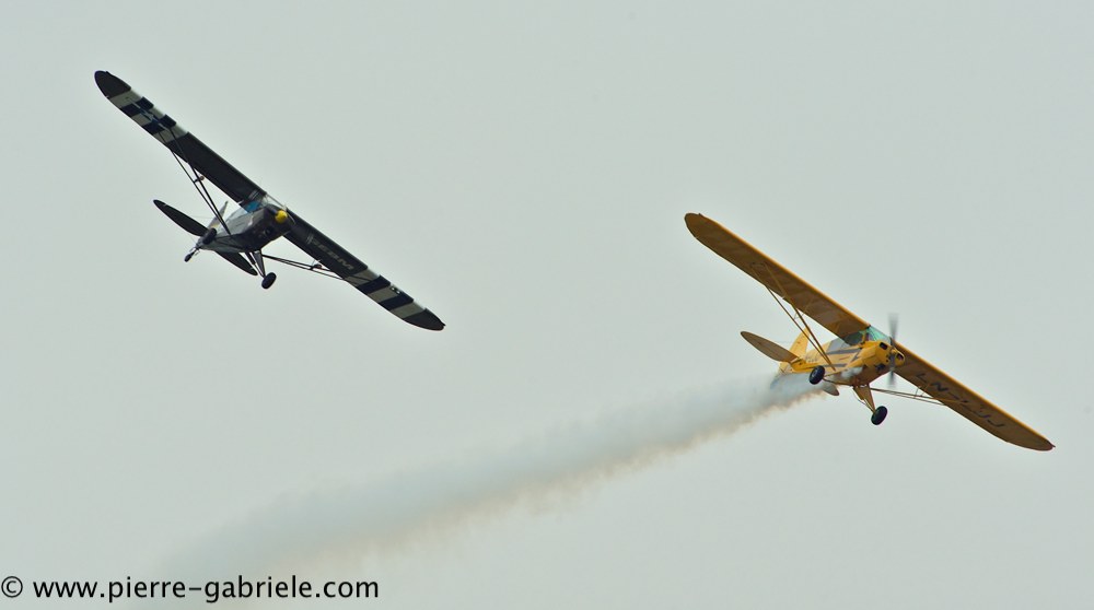 piper_2383.jpg