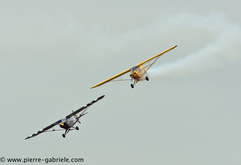 piper_2390.jpg