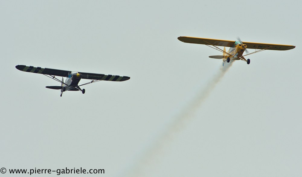piper_2391.jpg