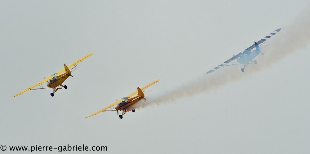 piper_2394.jpg