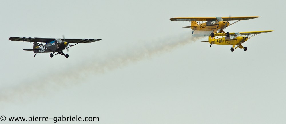 piper_2397.jpg