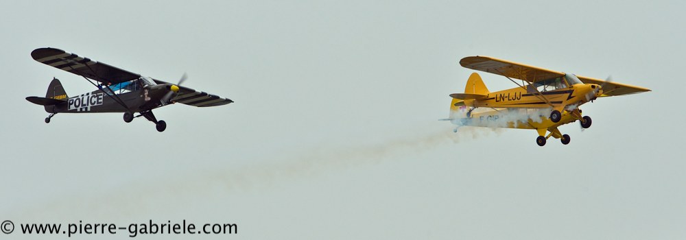 piper_2398.jpg