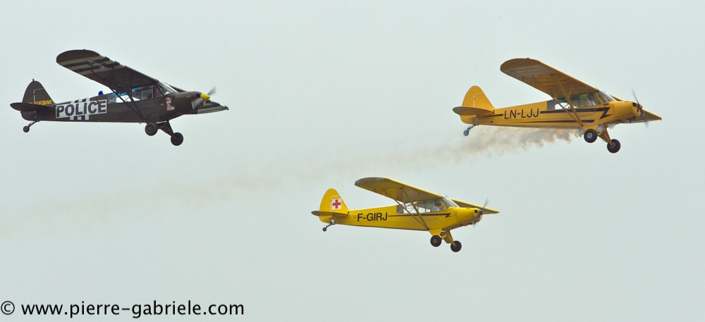 piper_2399.jpg
