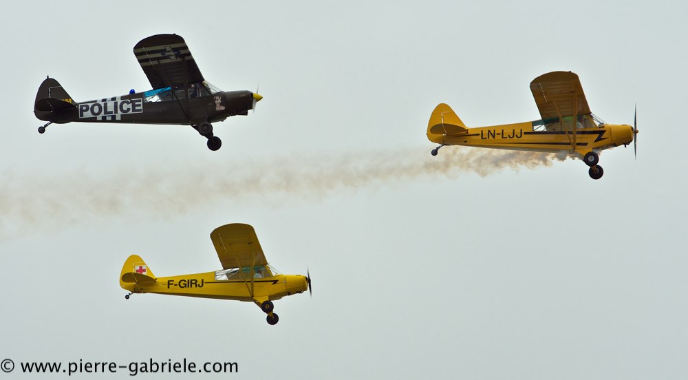 piper_2400.jpg