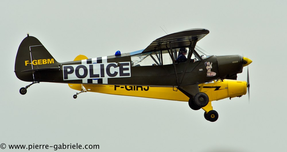 piper_2402.jpg