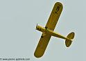 piper_2404