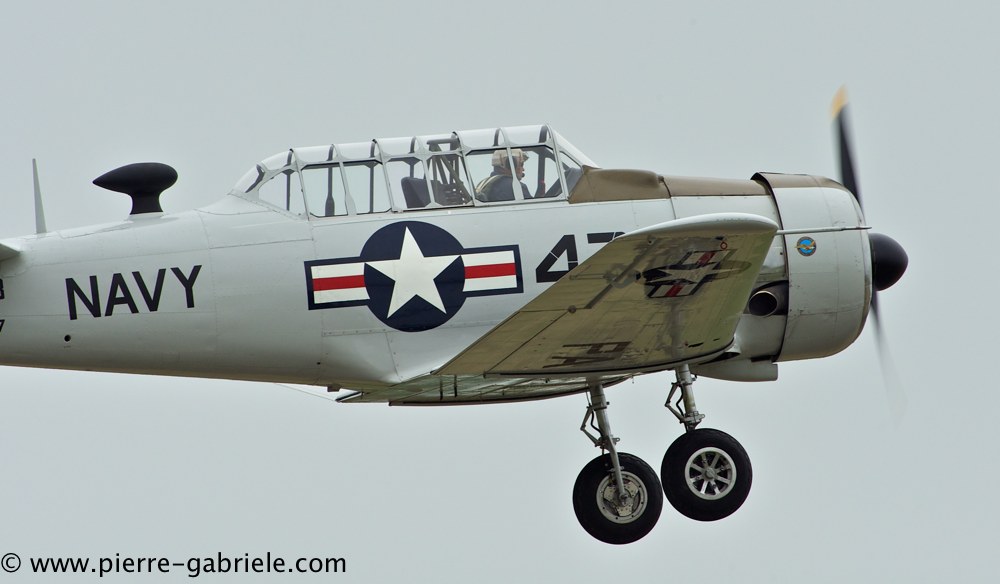 t6_2298.jpg