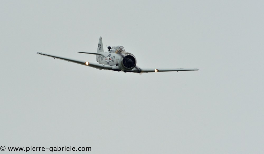 t6_2317.jpg
