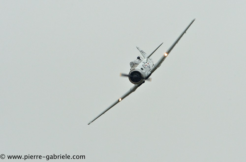 t6_2323.jpg