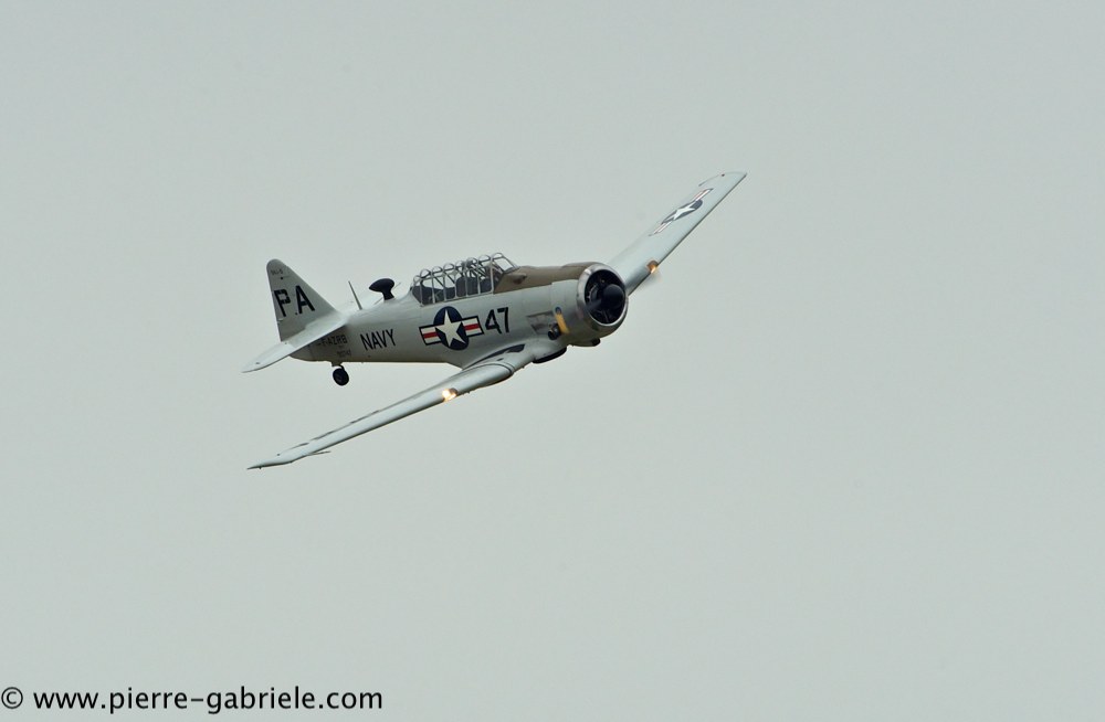 t6_2333.jpg